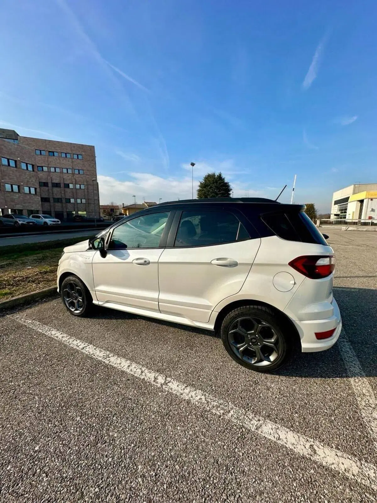 Ford EcoSport usata a Treviso (3)