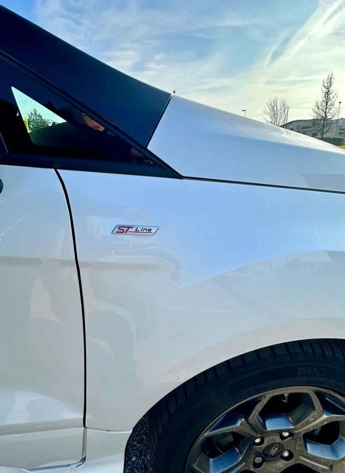 Ford EcoSport usata a Treviso (9)
