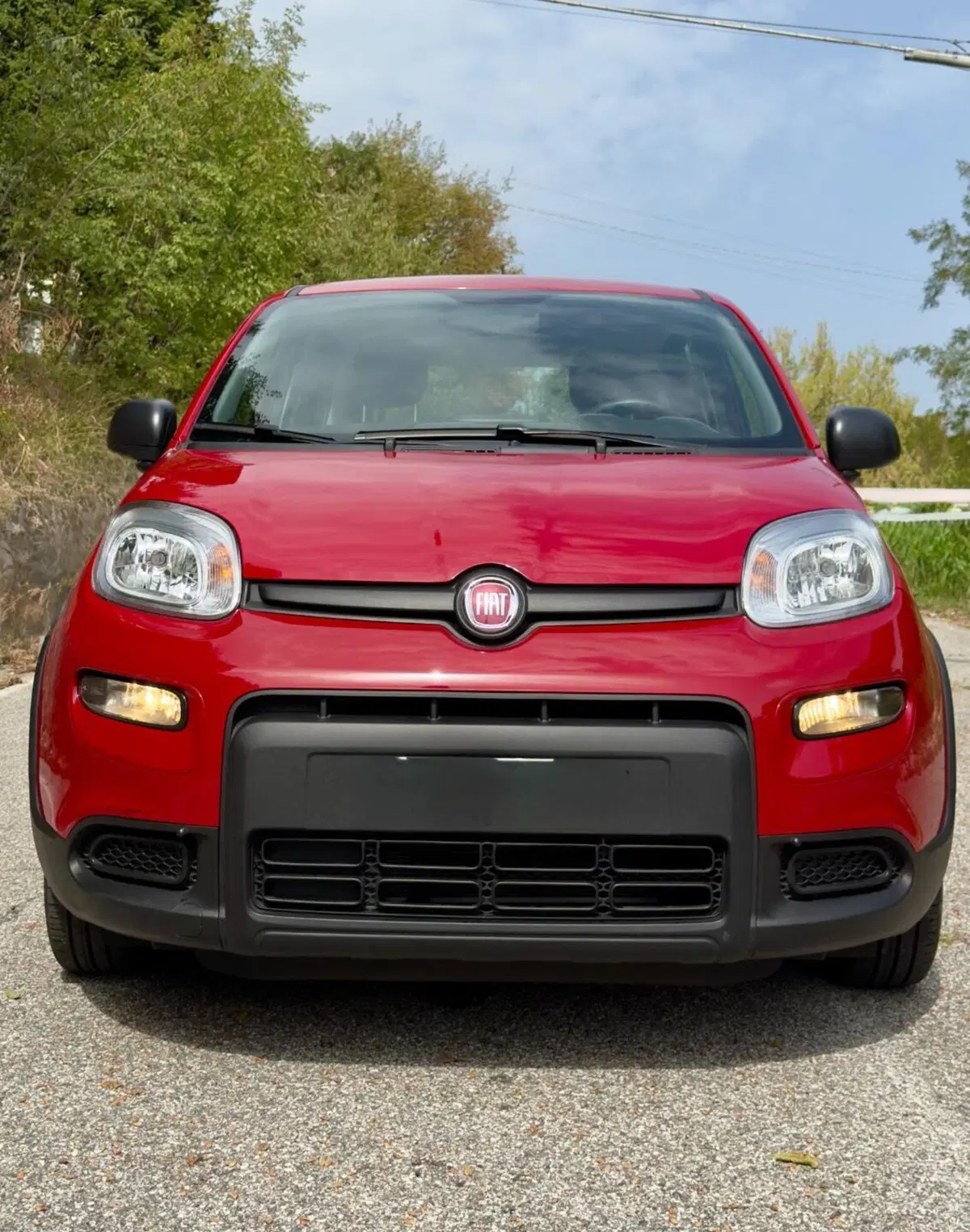 Fiat Panda usata a Brescia (2)
