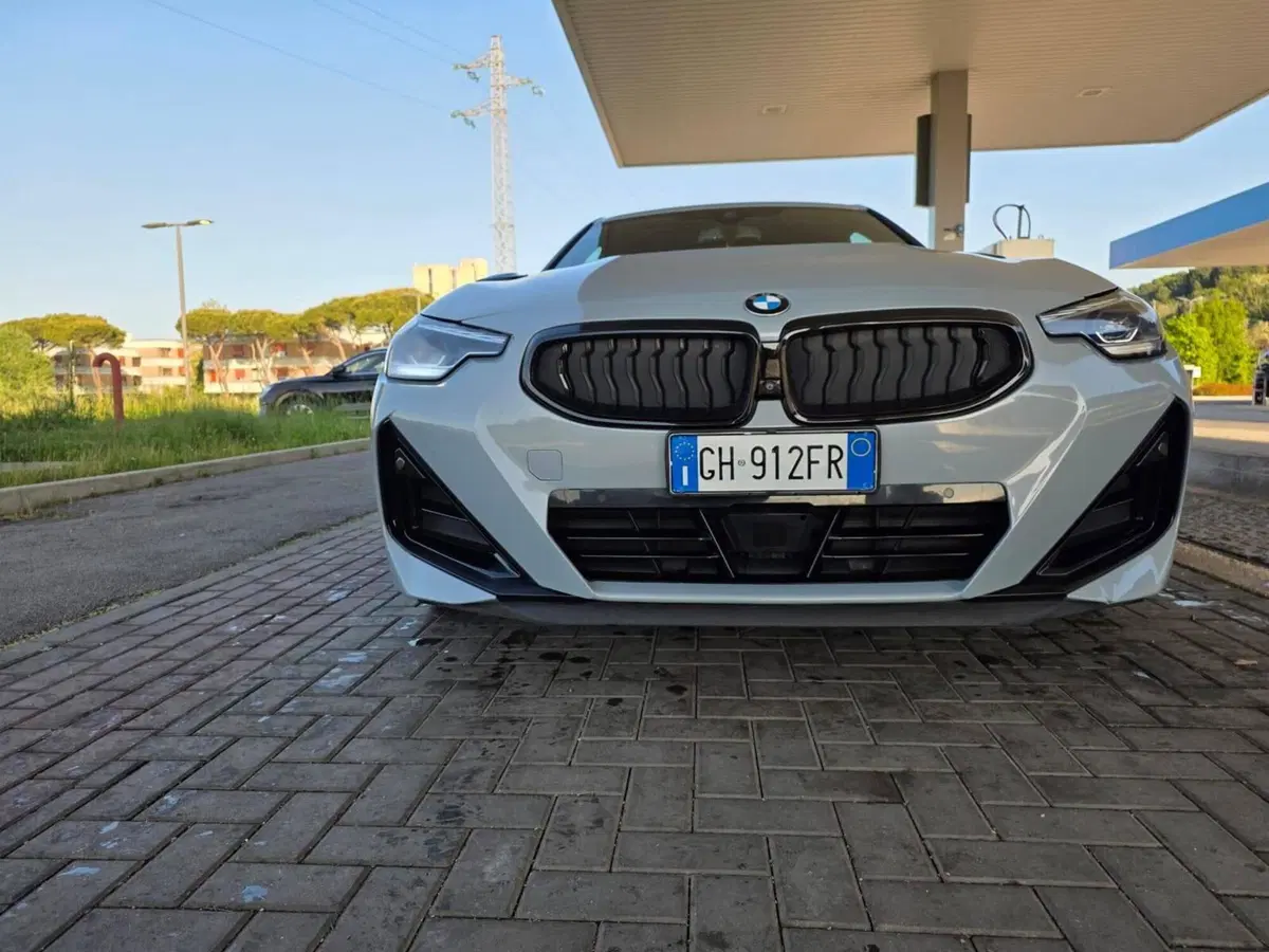 BMW Serie 2 Coupé usata a Pesaro-Urbino (6)