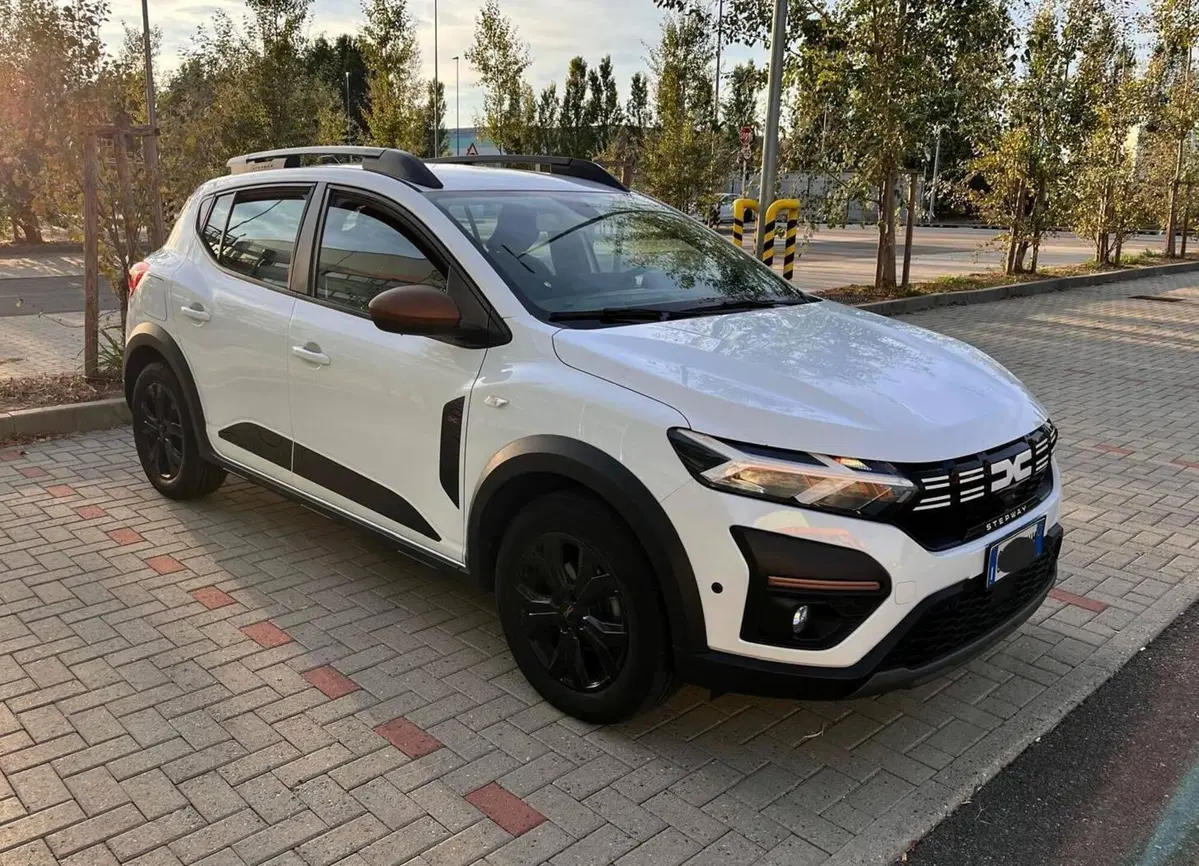 Dacia Sandero Stepway usata a Torino (2)