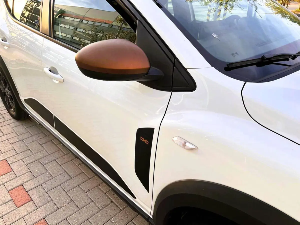 Dacia Sandero Stepway usata a Torino (9)
