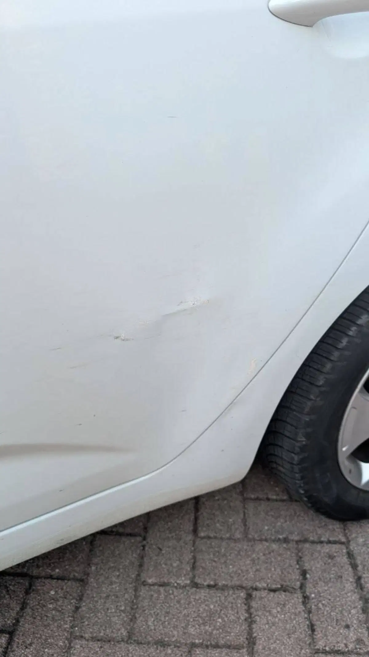 Kia Venga usata a Pordenone (8)