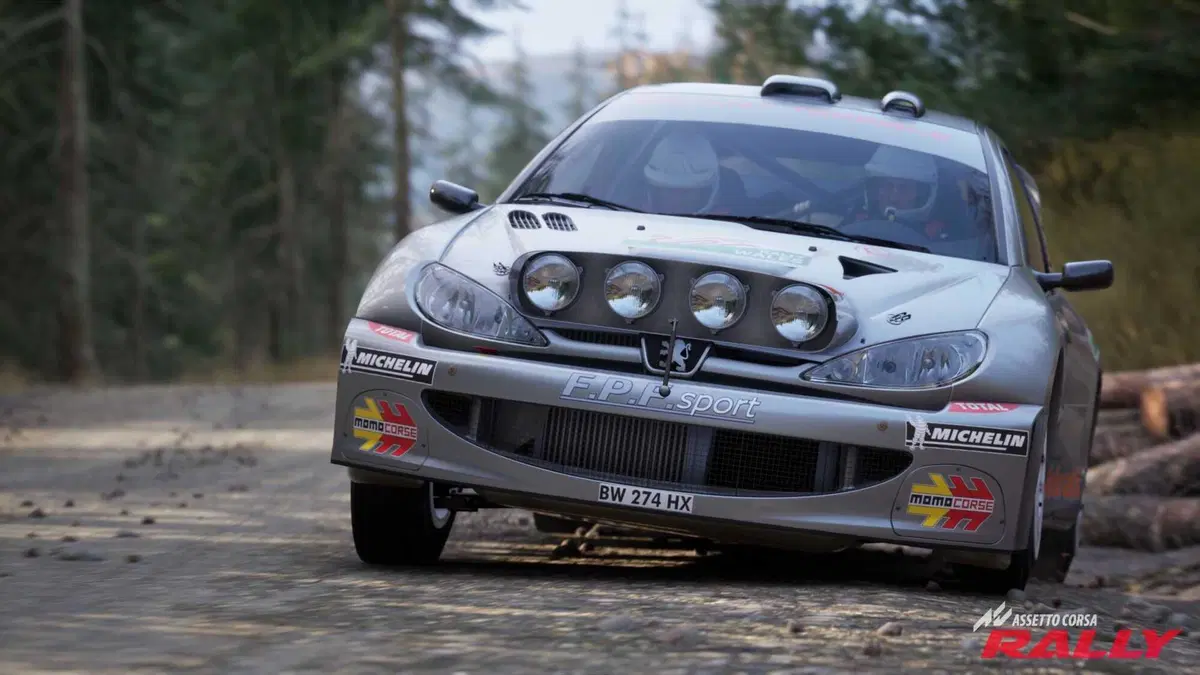 Assetto Corsa Rally 0.6 Peugeot 206 WRC (4)