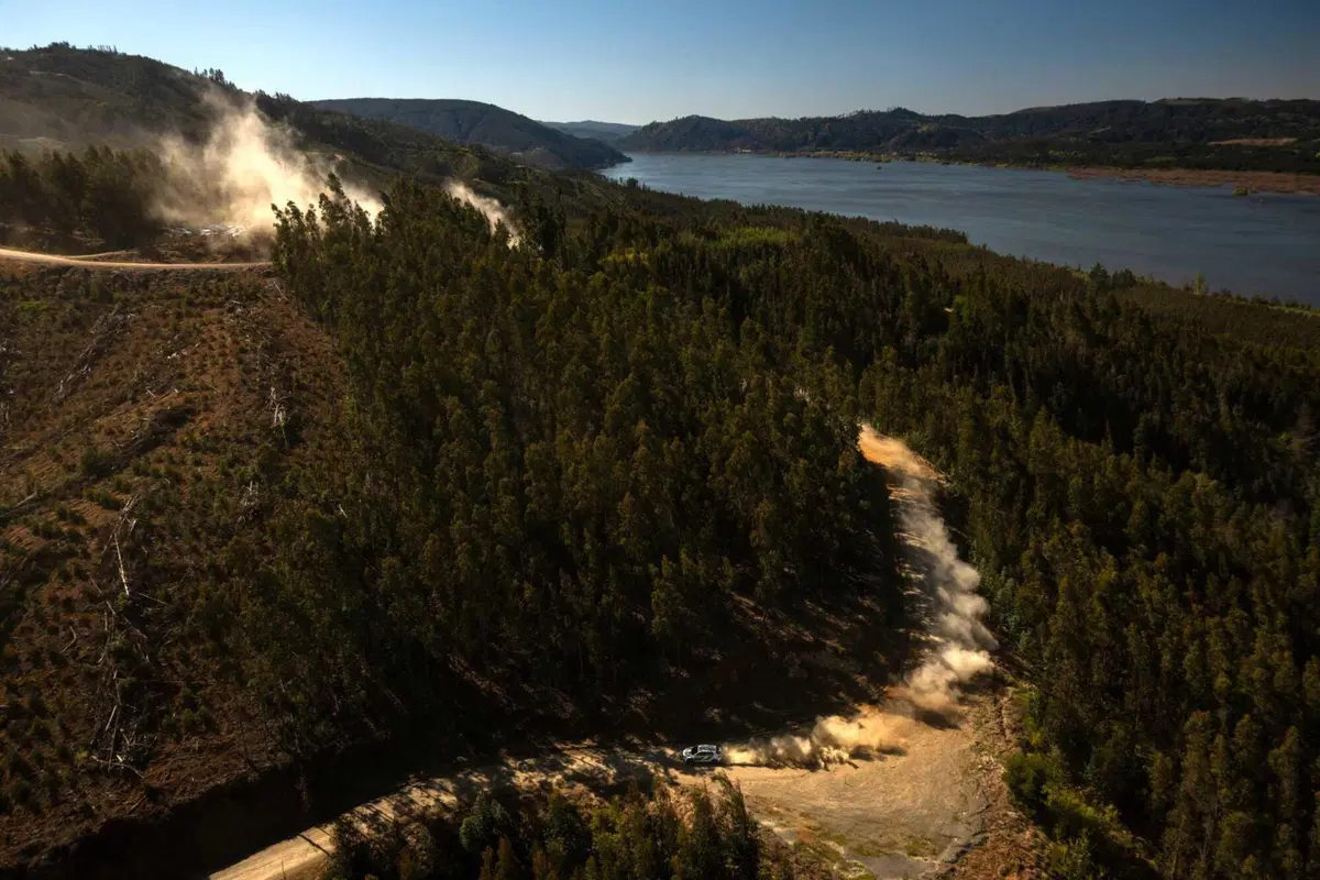 WRC26 #12 Chile. Solberg vincitore, Evans previdente ma non troppo fortunato, Toyota Campione [VIDEO] (18)
