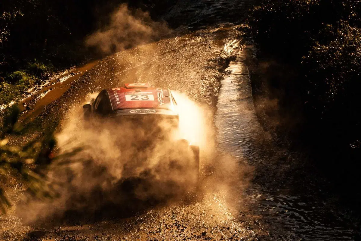 WRC26 #12 Chile. Solberg vincitore, Evans previdente ma non troppo fortunato, Toyota Campione [VIDEO] (43)