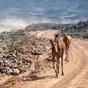 Allarme generale, dopo la Sardegna il Mondiale WRC potrebbe essere in pericolo.