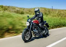 Suzuki SV 650: highlander