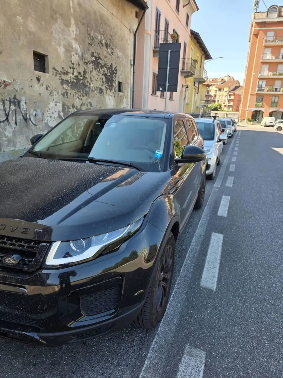Land Rover Range Rover Evoque usata a Torino (2)