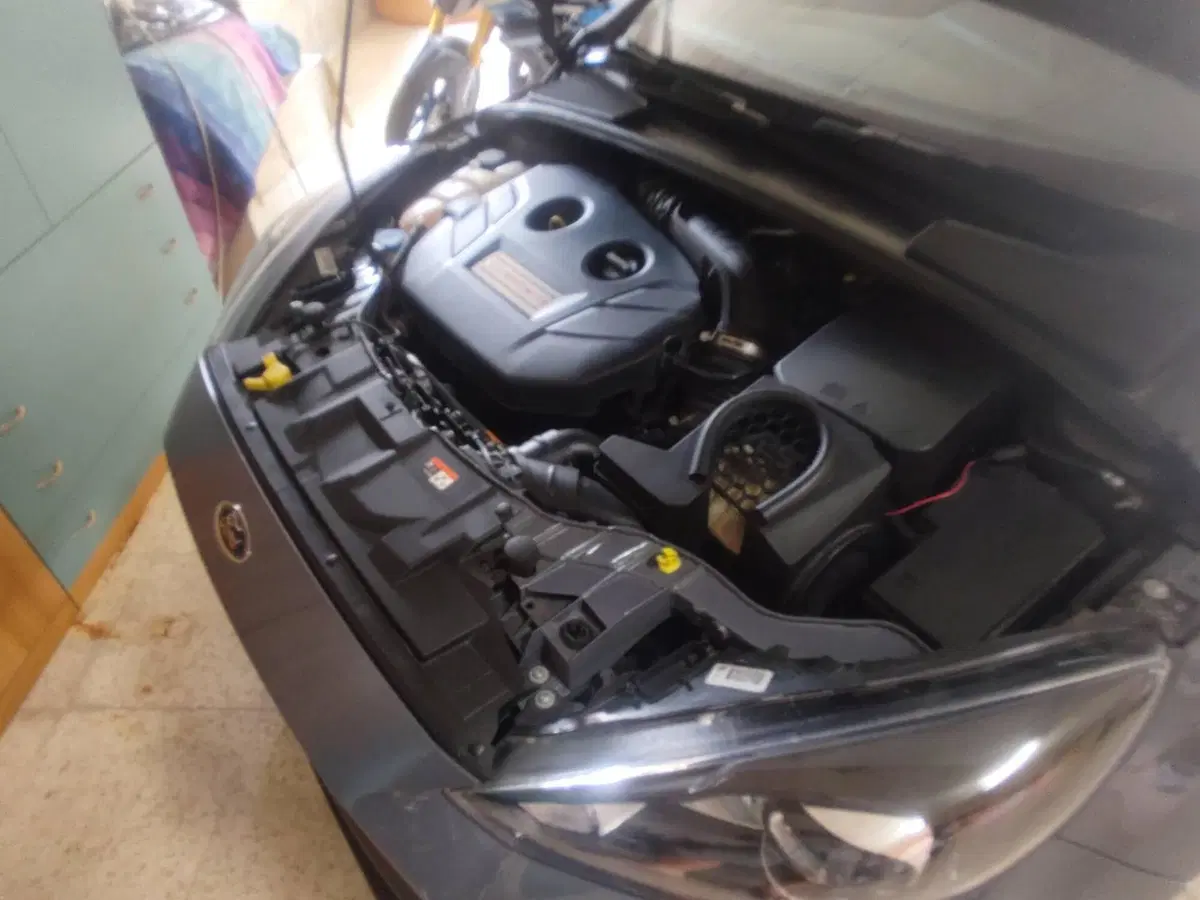 Ford Focus usata a Perugia (4)