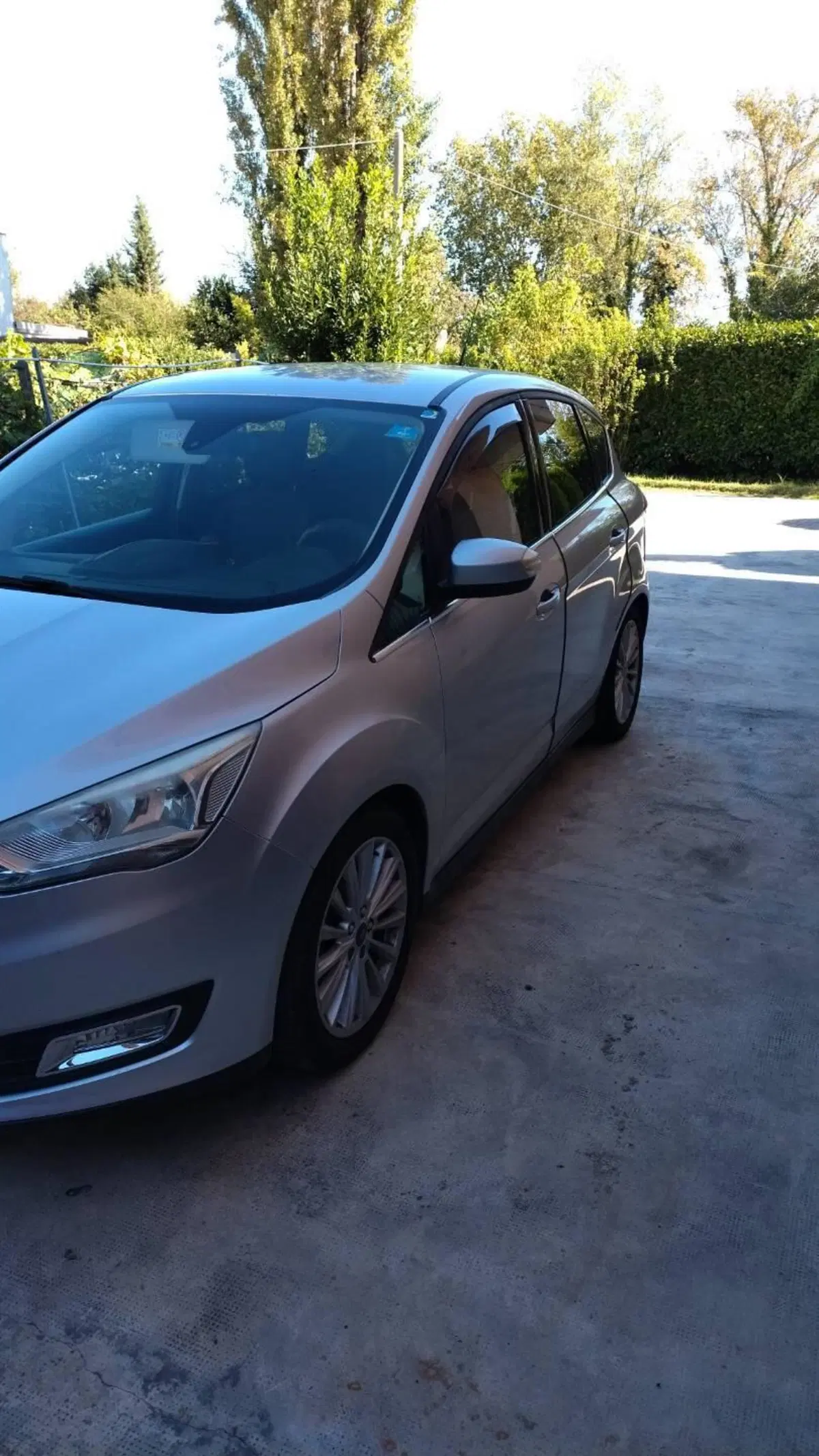 Ford C-Max usata a Ferrara (4)