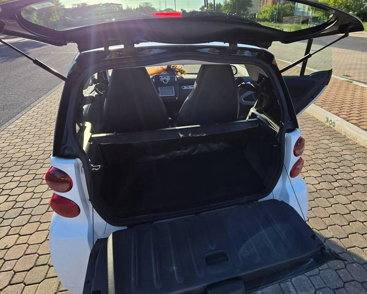 smart Fortwo usata a Latina (13)