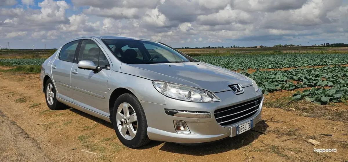 Peugeot 407 usata a Brindisi