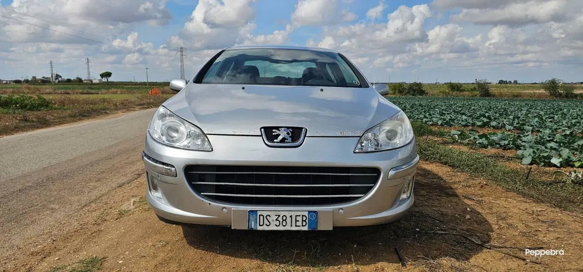 Peugeot 407 usata a Brindisi (2)