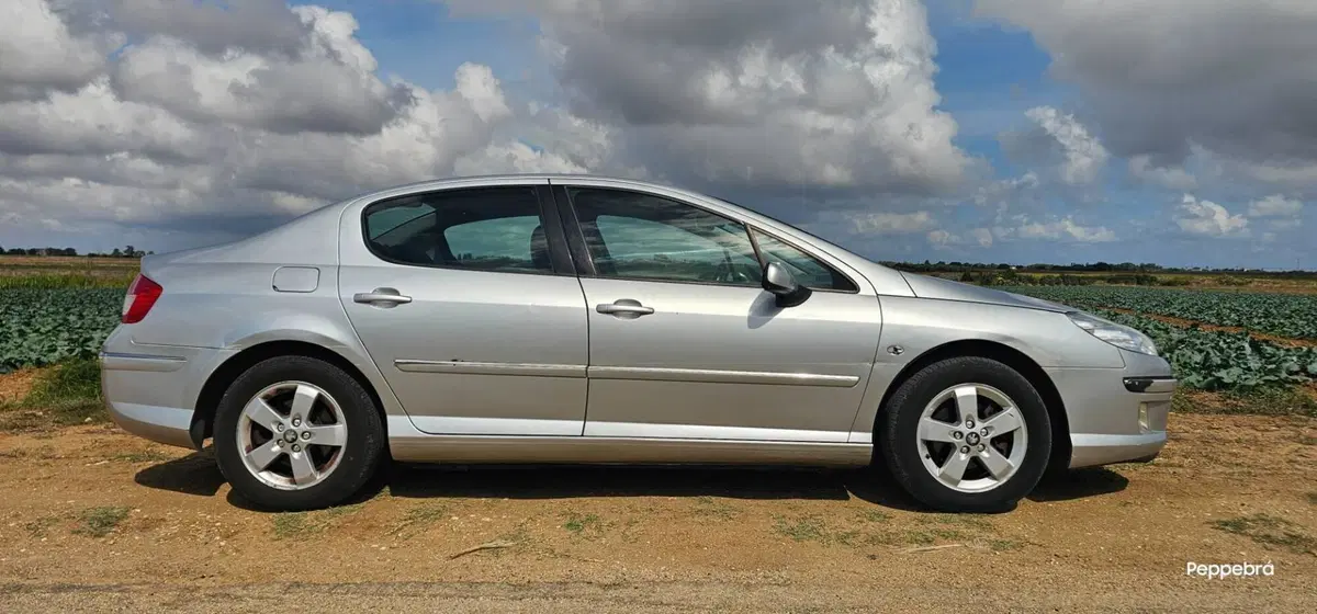 Peugeot 407 usata a Brindisi (3)