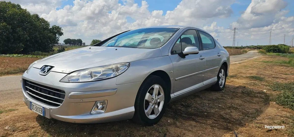 Peugeot 407 usata a Brindisi (4)