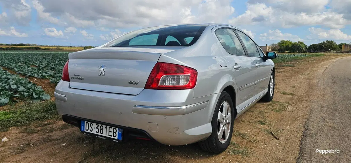 Peugeot 407 usata a Brindisi (5)