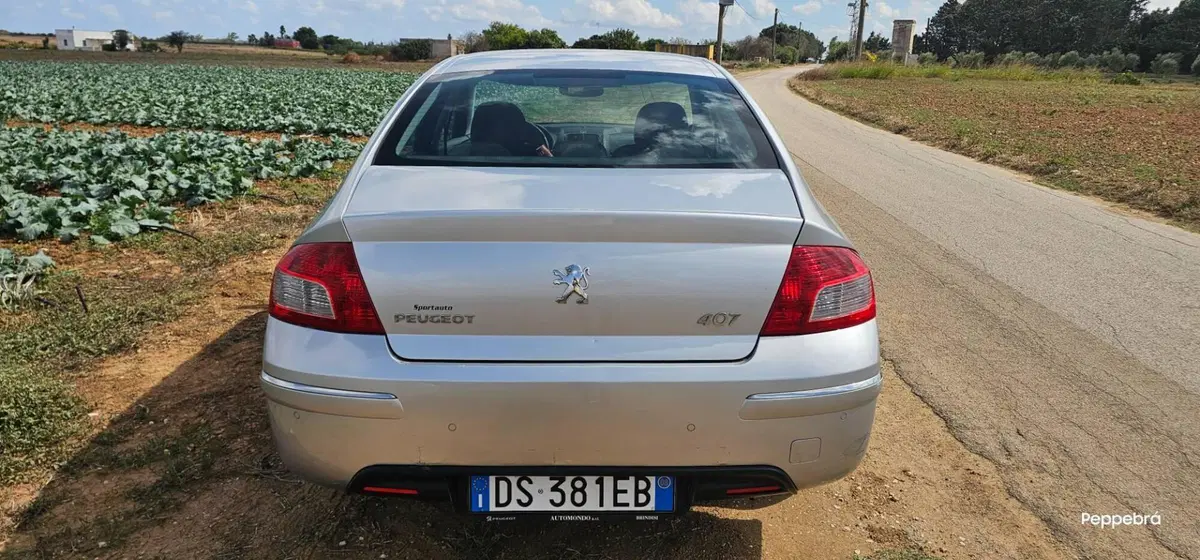 Peugeot 407 usata a Brindisi (6)