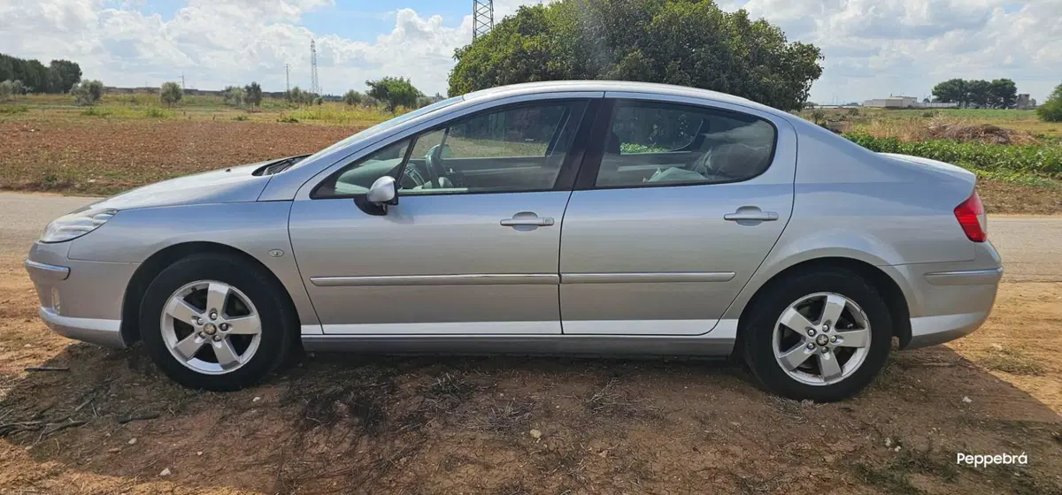 Peugeot 407 usata a Brindisi (8)