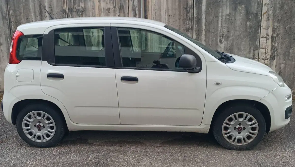 Fiat Panda usata a Pistoia (3)