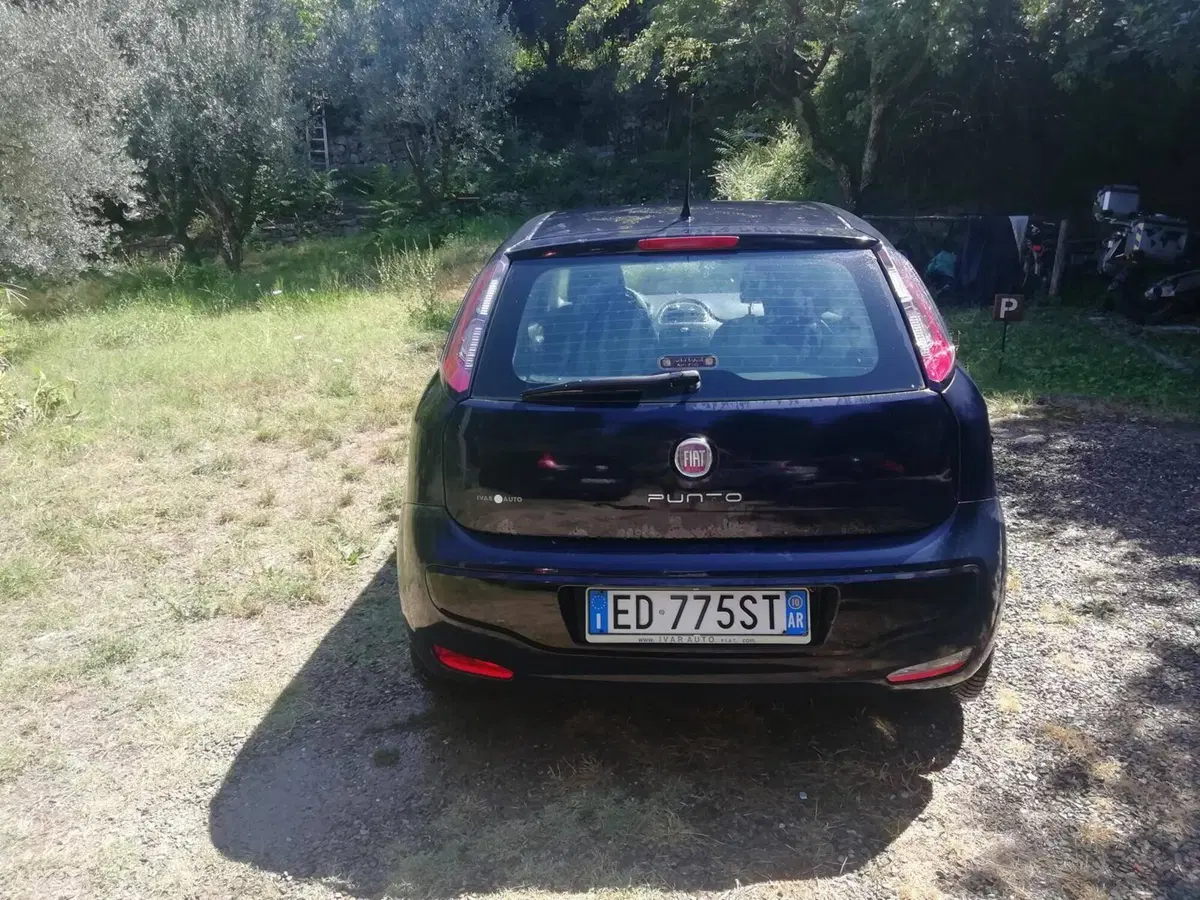 Fiat Punto Evo usata a Arezzo (2)
