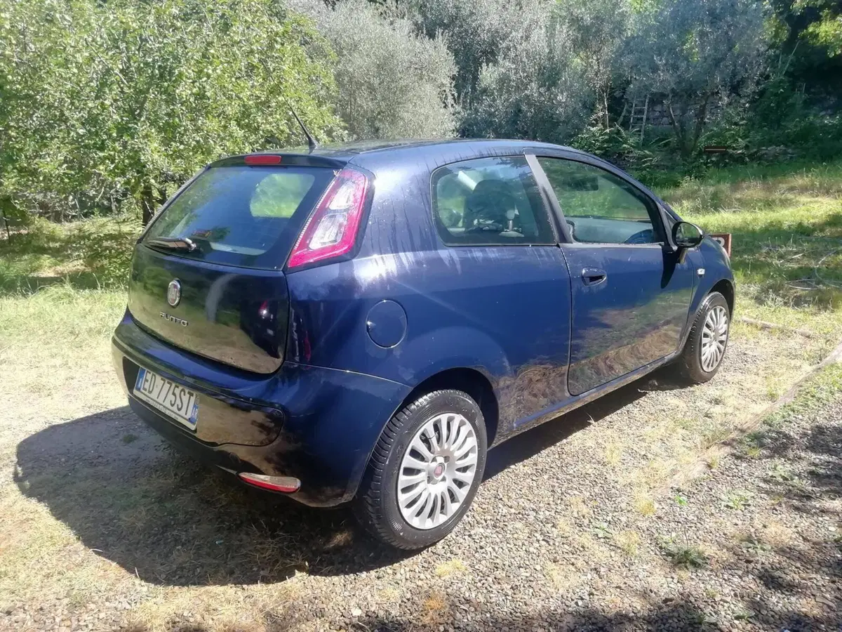 Fiat Punto Evo usata a Arezzo (3)