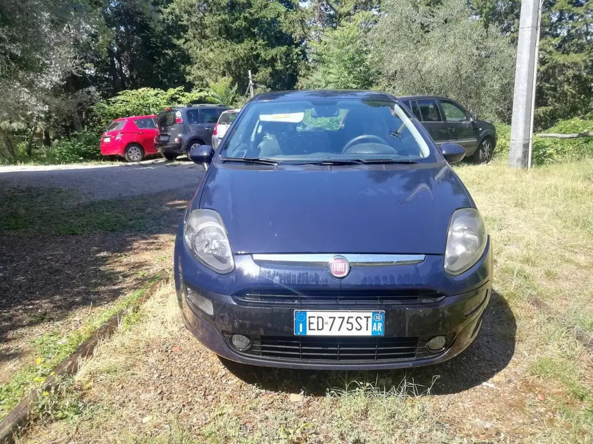 Fiat Punto Evo usata a Arezzo (5)