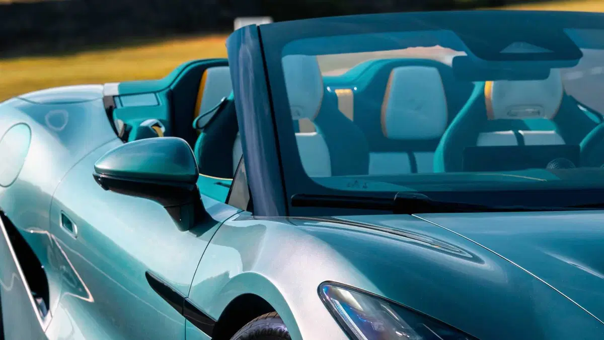 Denza Z Cabrio (20)