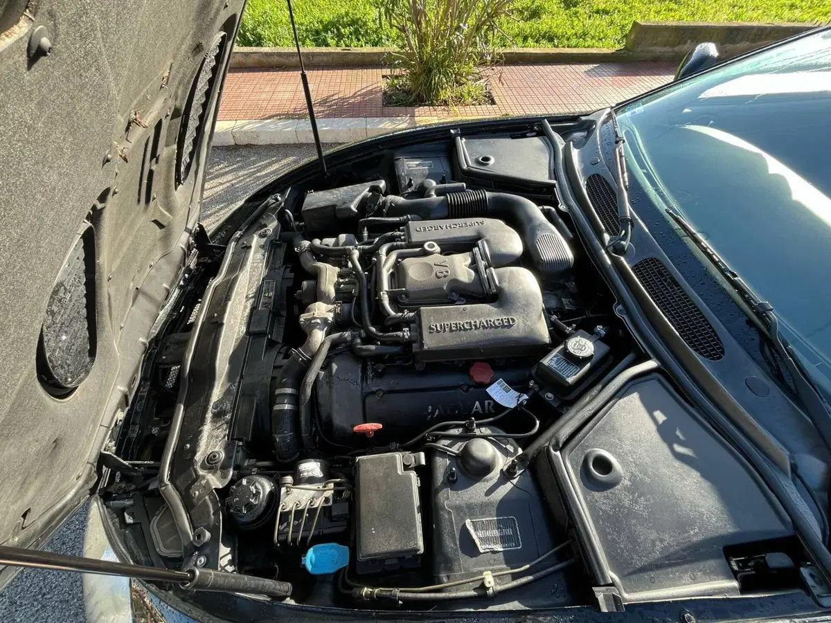 Jaguar XKR d'epoca a Palermo (13)