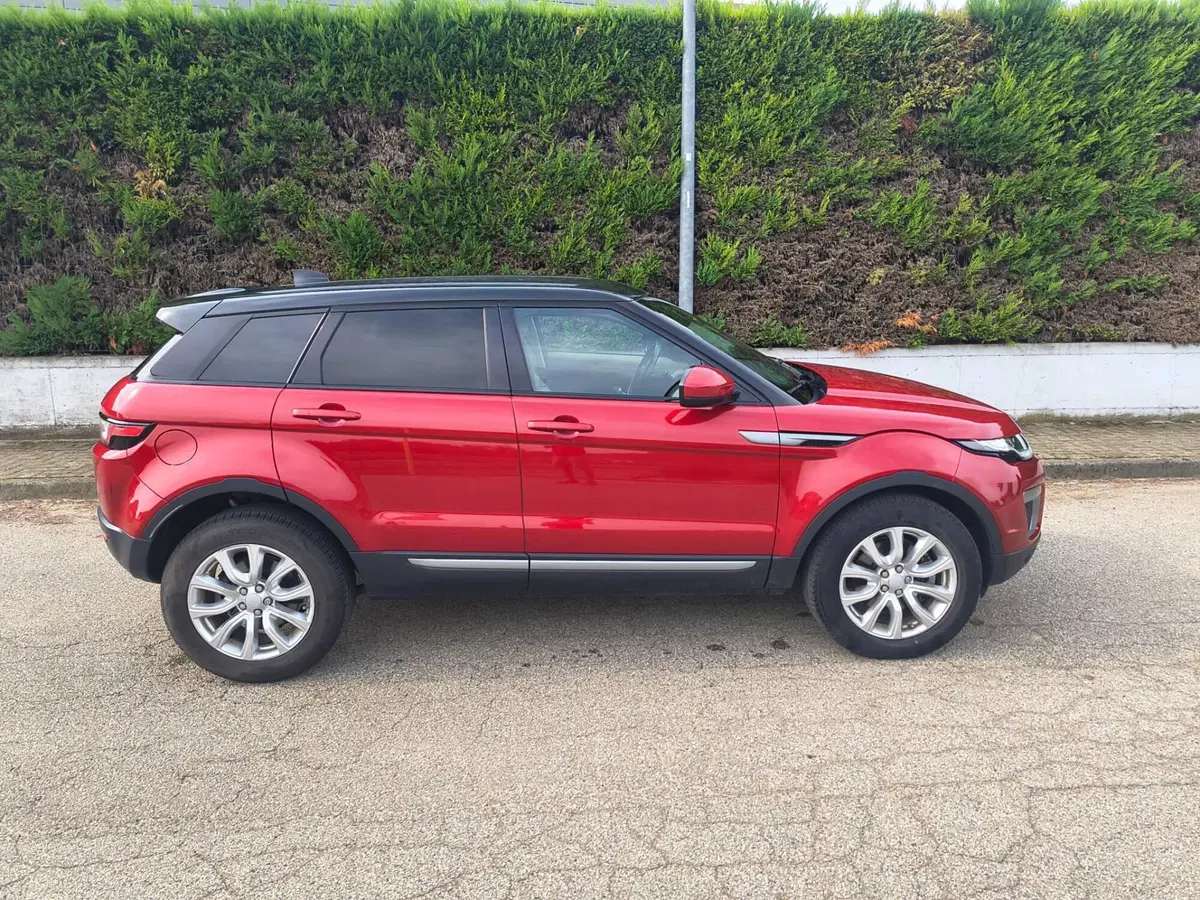 Land Rover Range Rover Evoque usata a Torino (6)