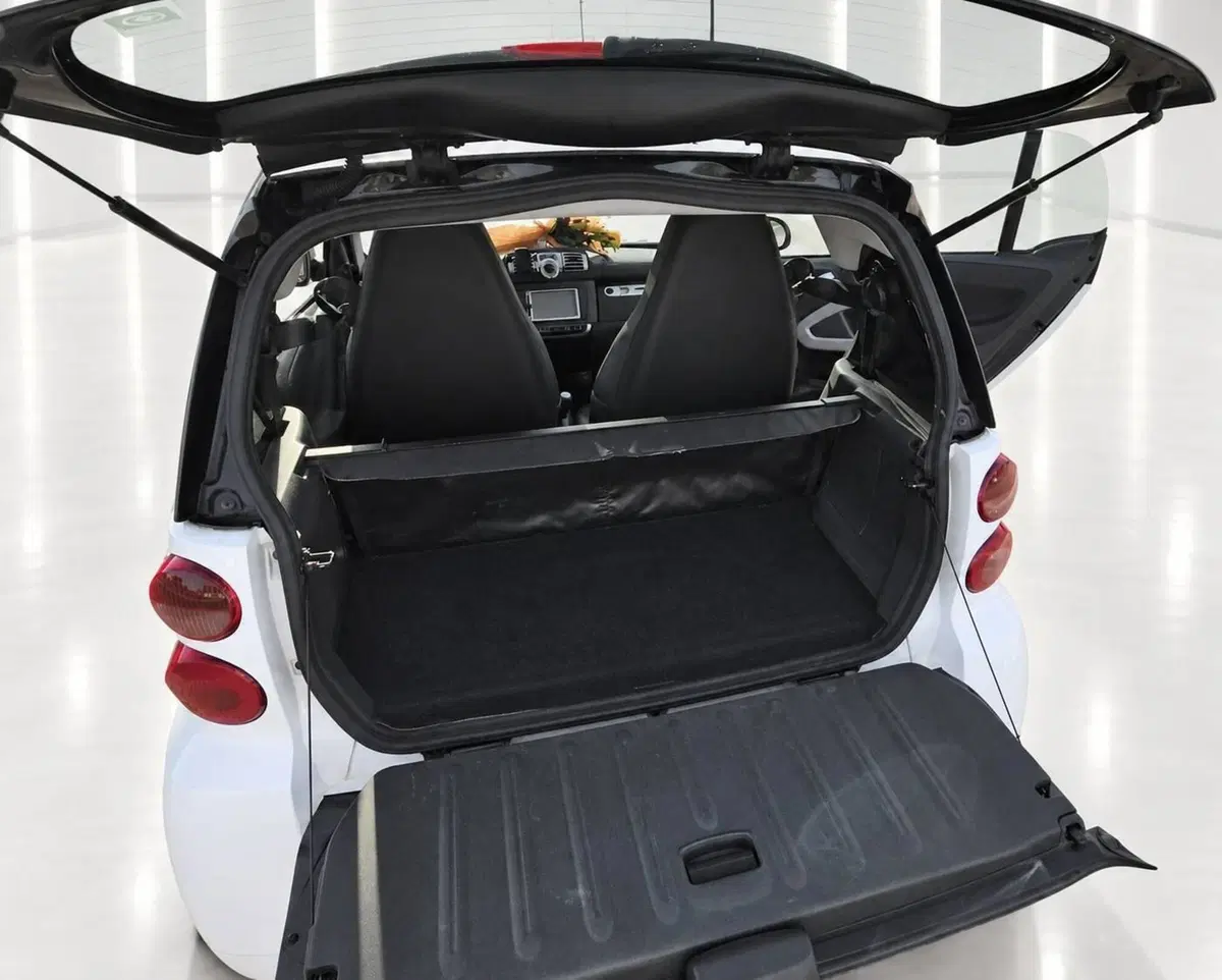 smart Fortwo usata a Latina (13)