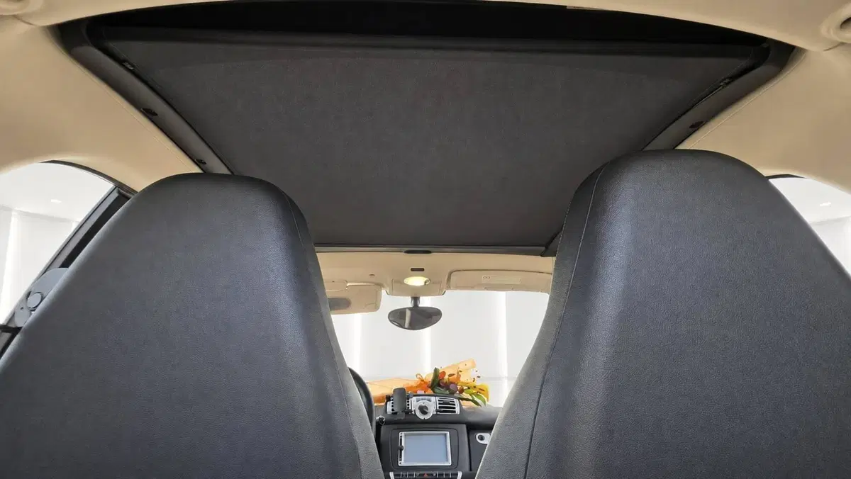 smart Fortwo usata a Latina (15)