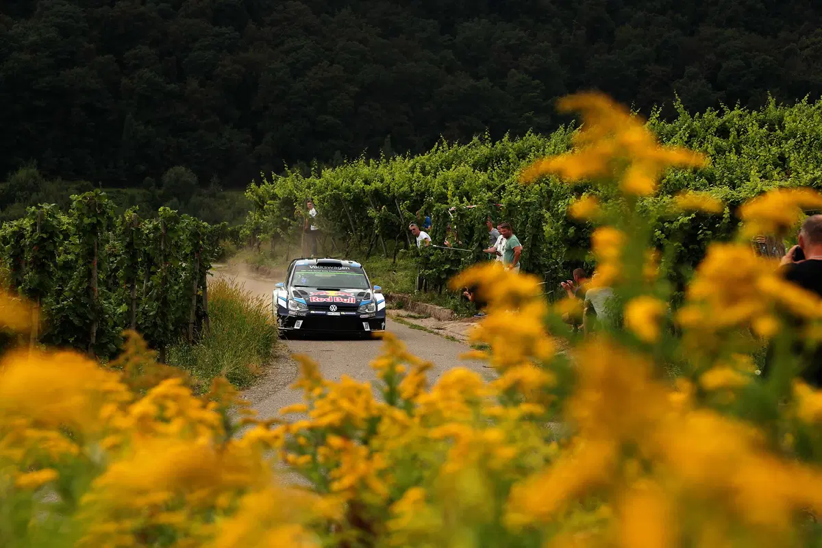 WRC16 Germania. In testa Mikkelsen (Volkswagen) (27)