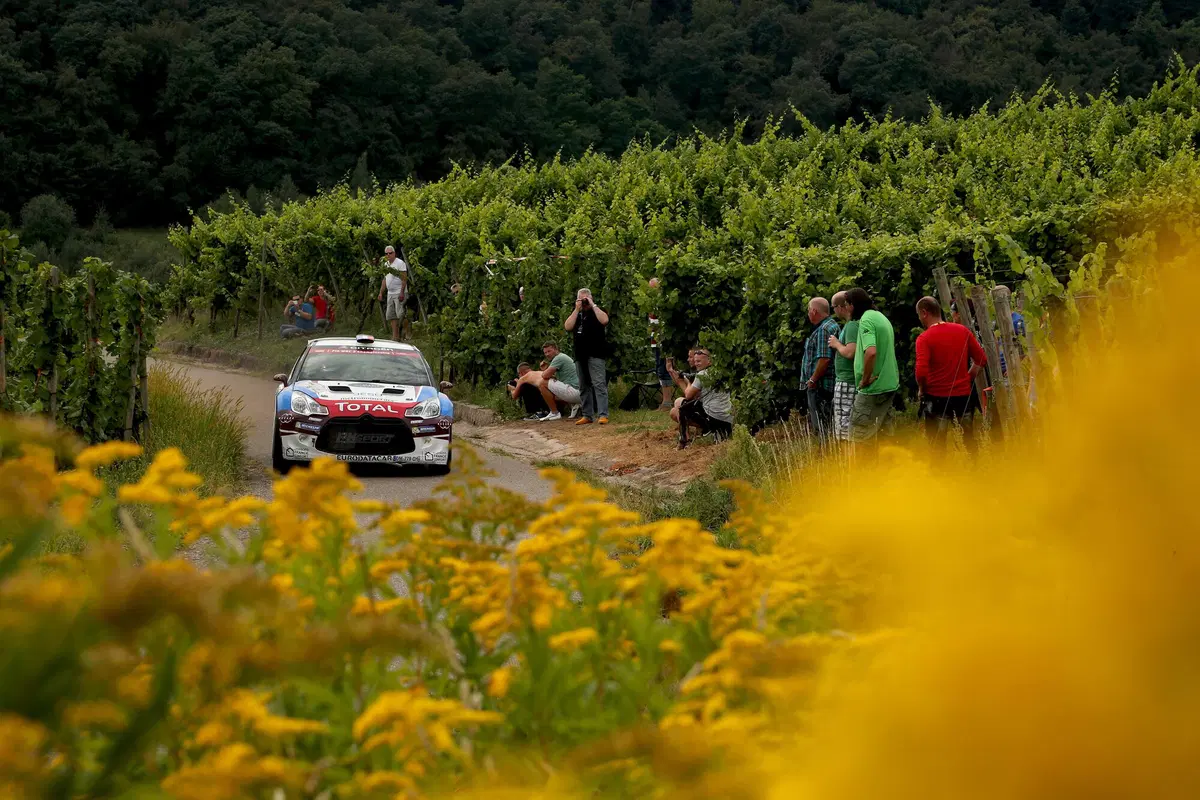 WRC16 Germania. In testa Mikkelsen (Volkswagen) (40)