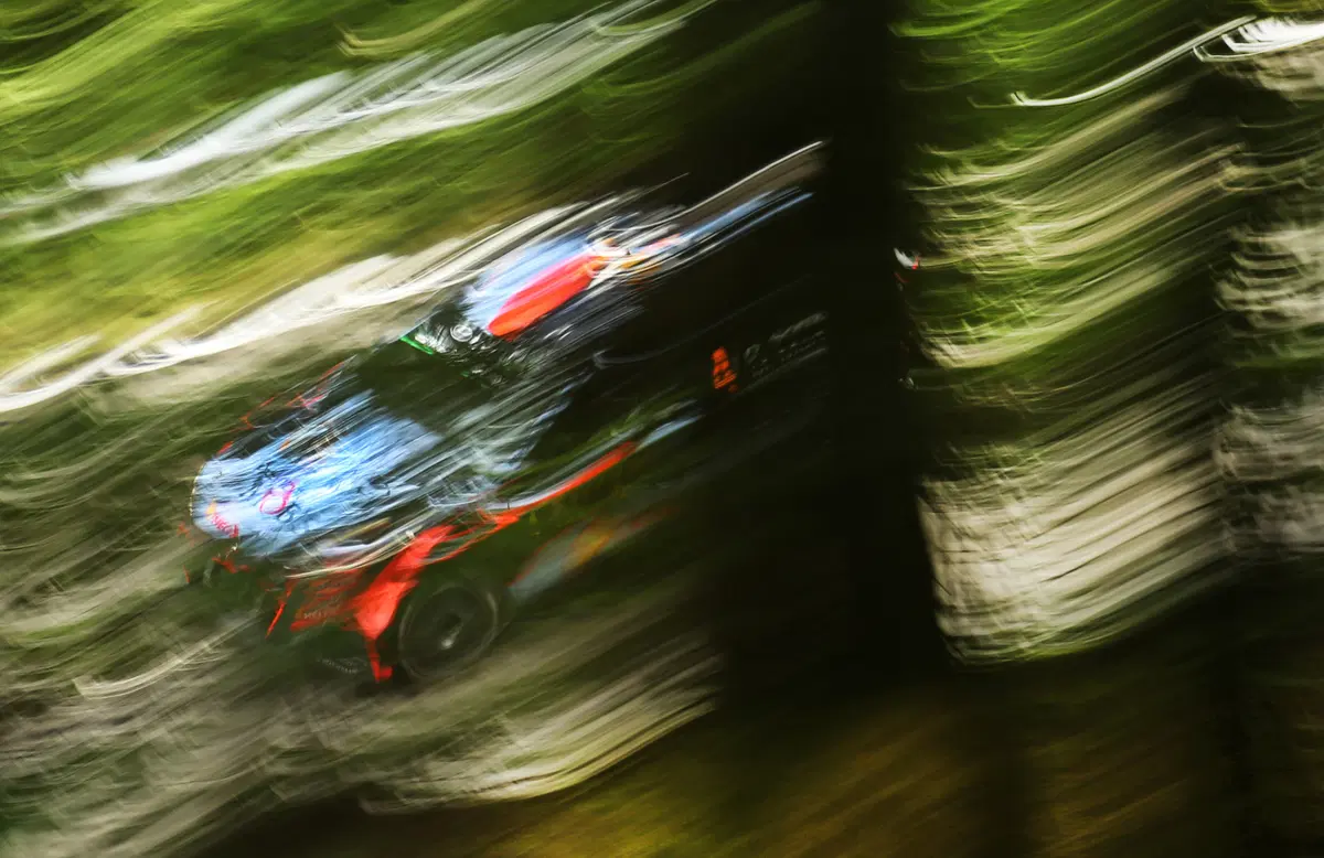 WRC16 Germania. Ogier (Volkswagen) davanti a tutti (19)