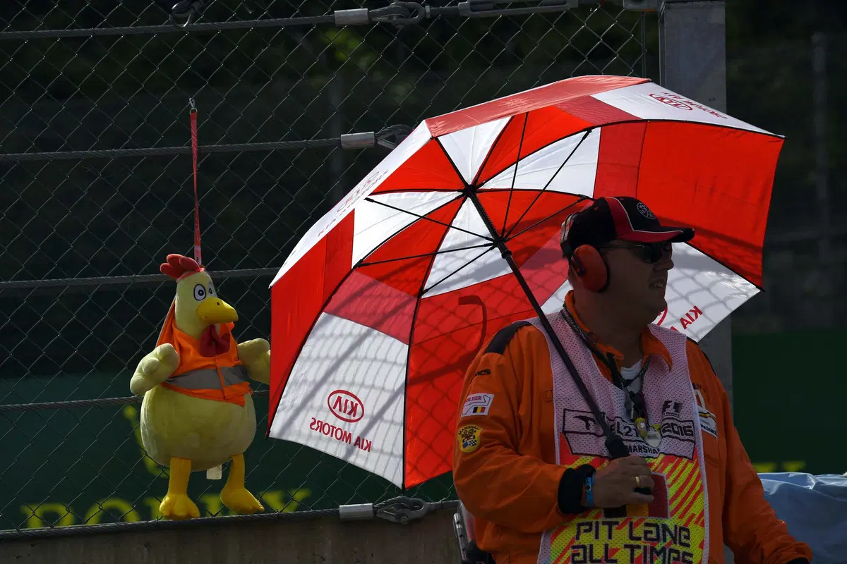 F1, Gp Belgio 2016, FP3: (34)