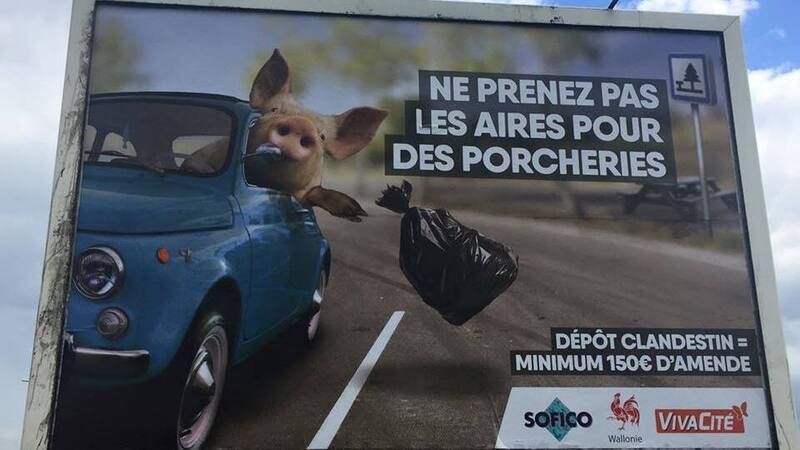 Maiale lancia spazzatura da Fiat 500: cancellata campagna in Belgio