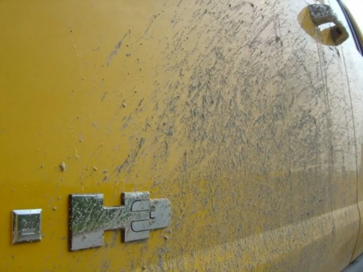 Hummer H3 (20)