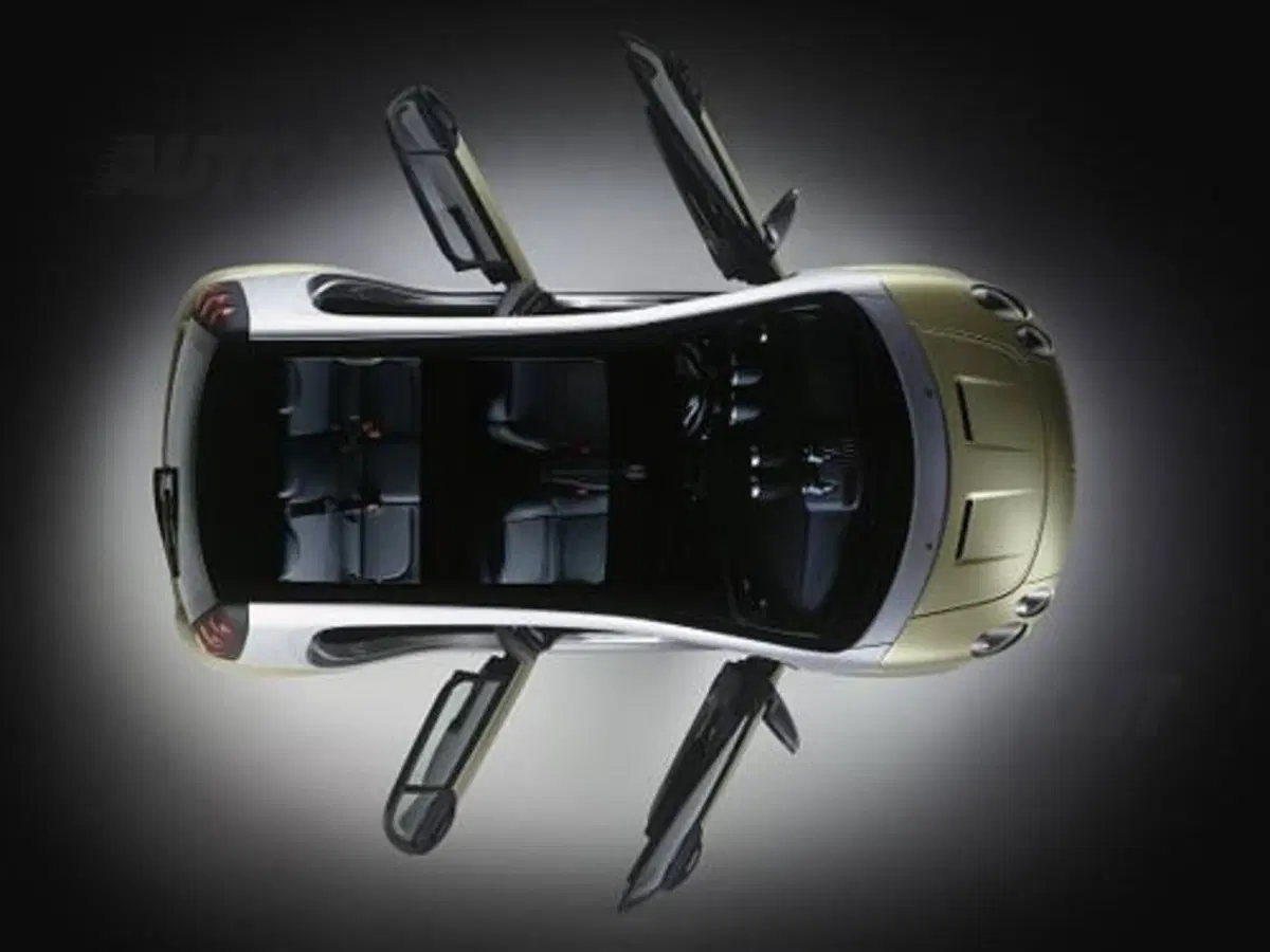 Smart Forfour (3)