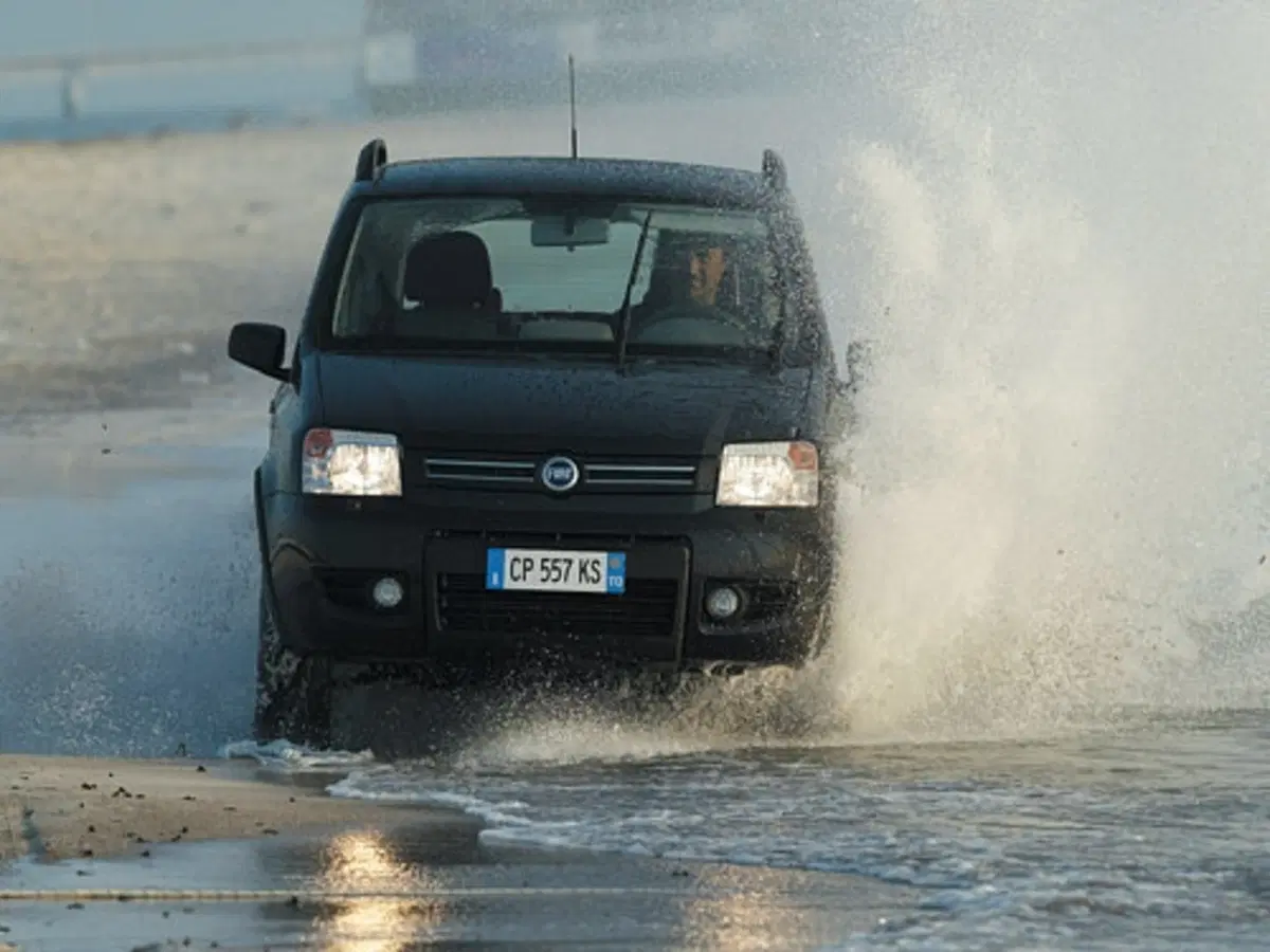 Fiat Panda 4x4 (3)