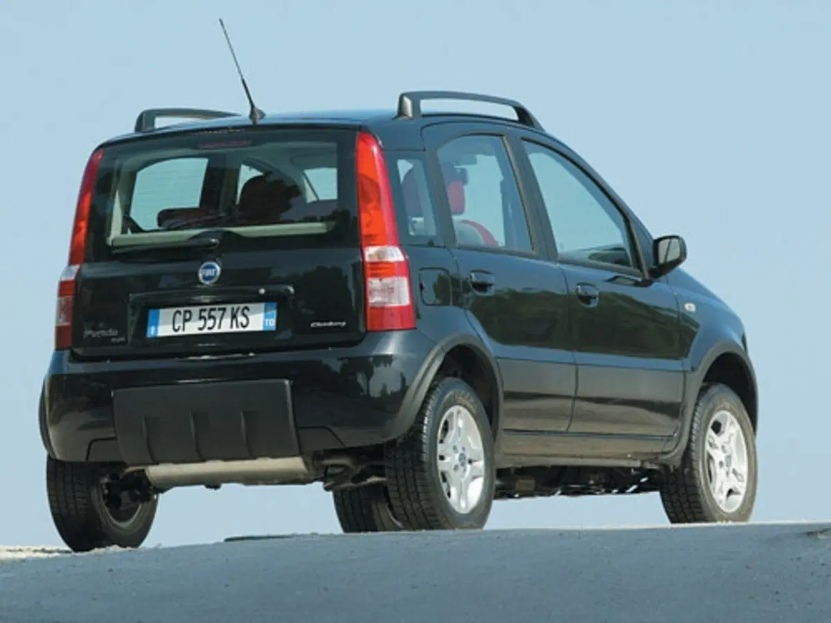 Fiat Panda 4x4 (4)