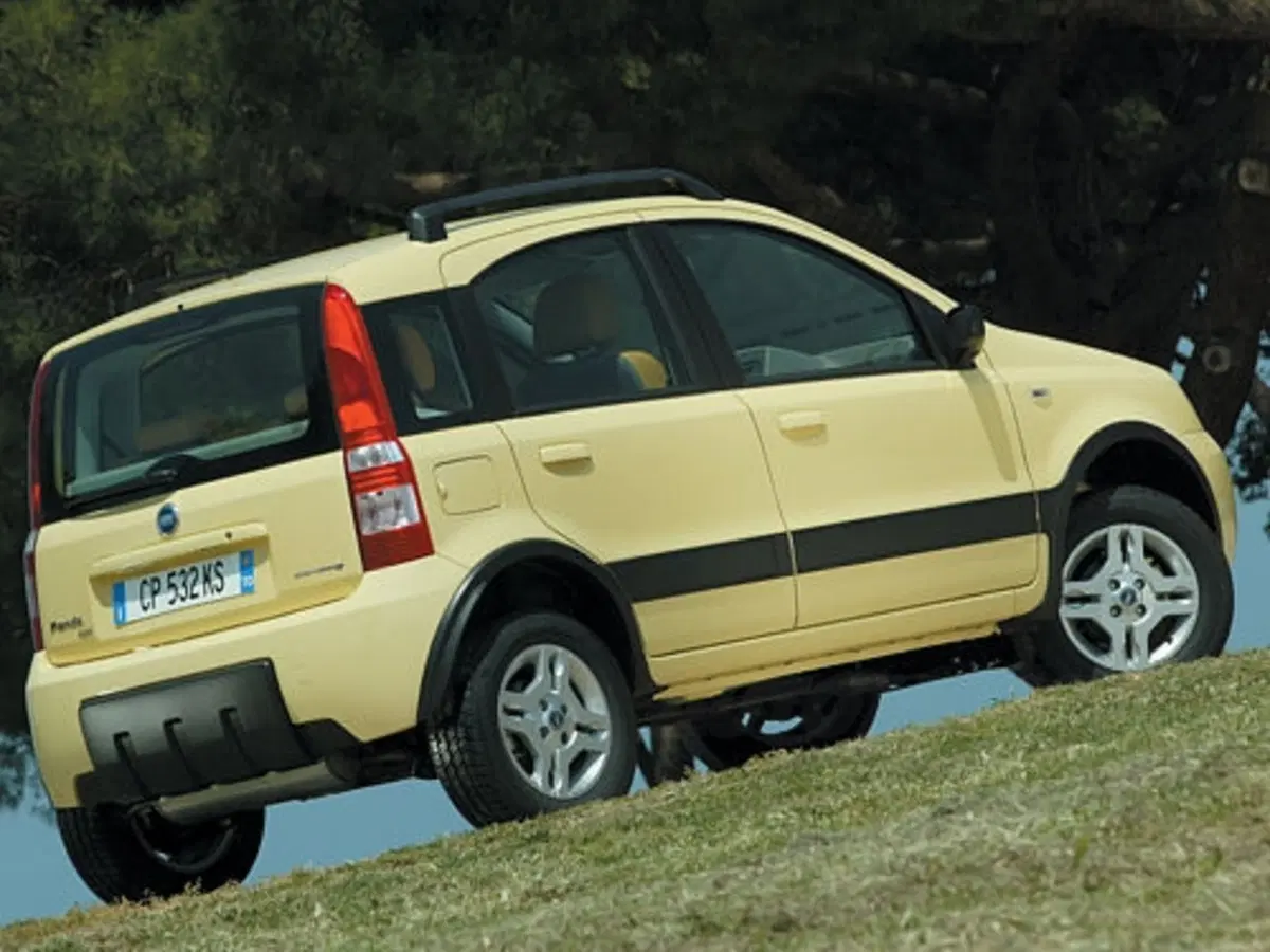 Fiat Panda 4x4 (10)