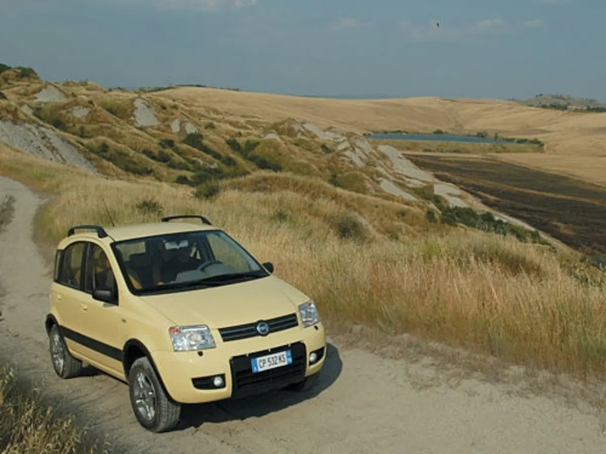 Fiat Panda 4x4 (11)