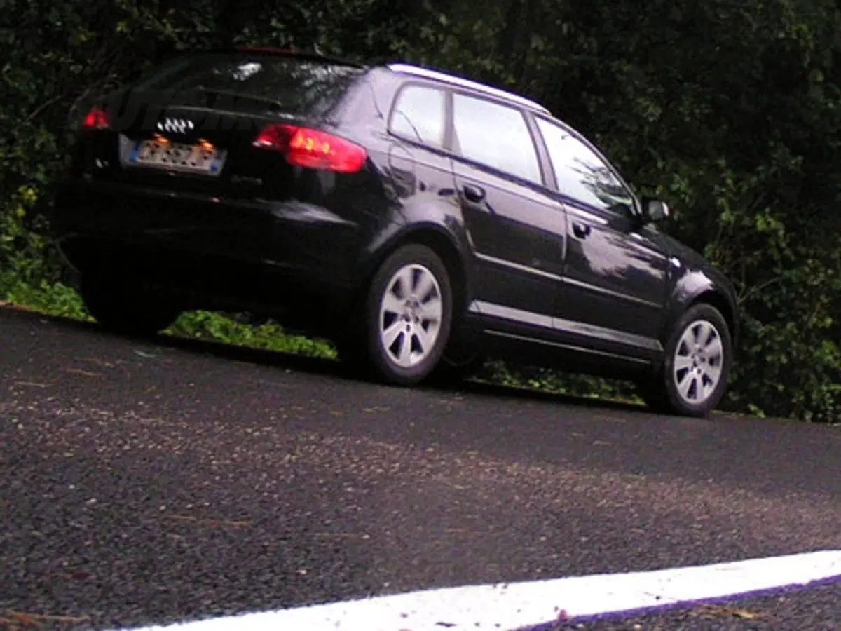 Audi A3 Sportback (19)
