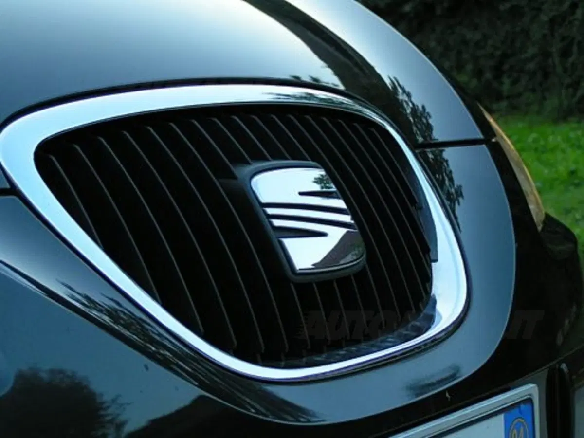 Seat Altea (5)