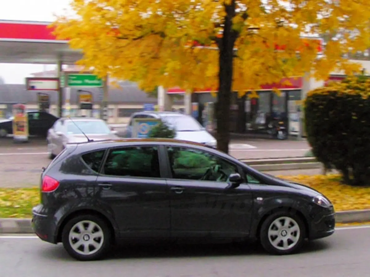 Seat Altea (21)