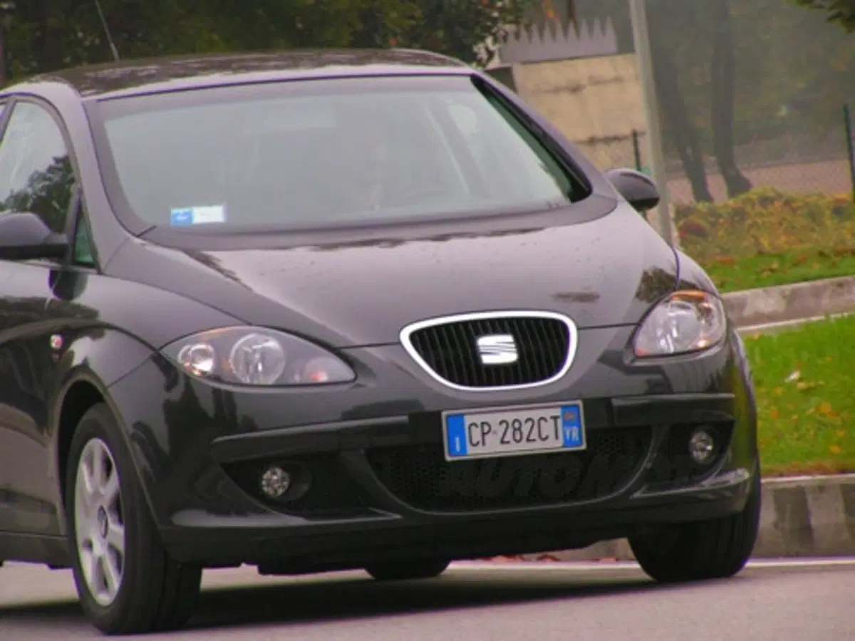 Seat Altea (24)