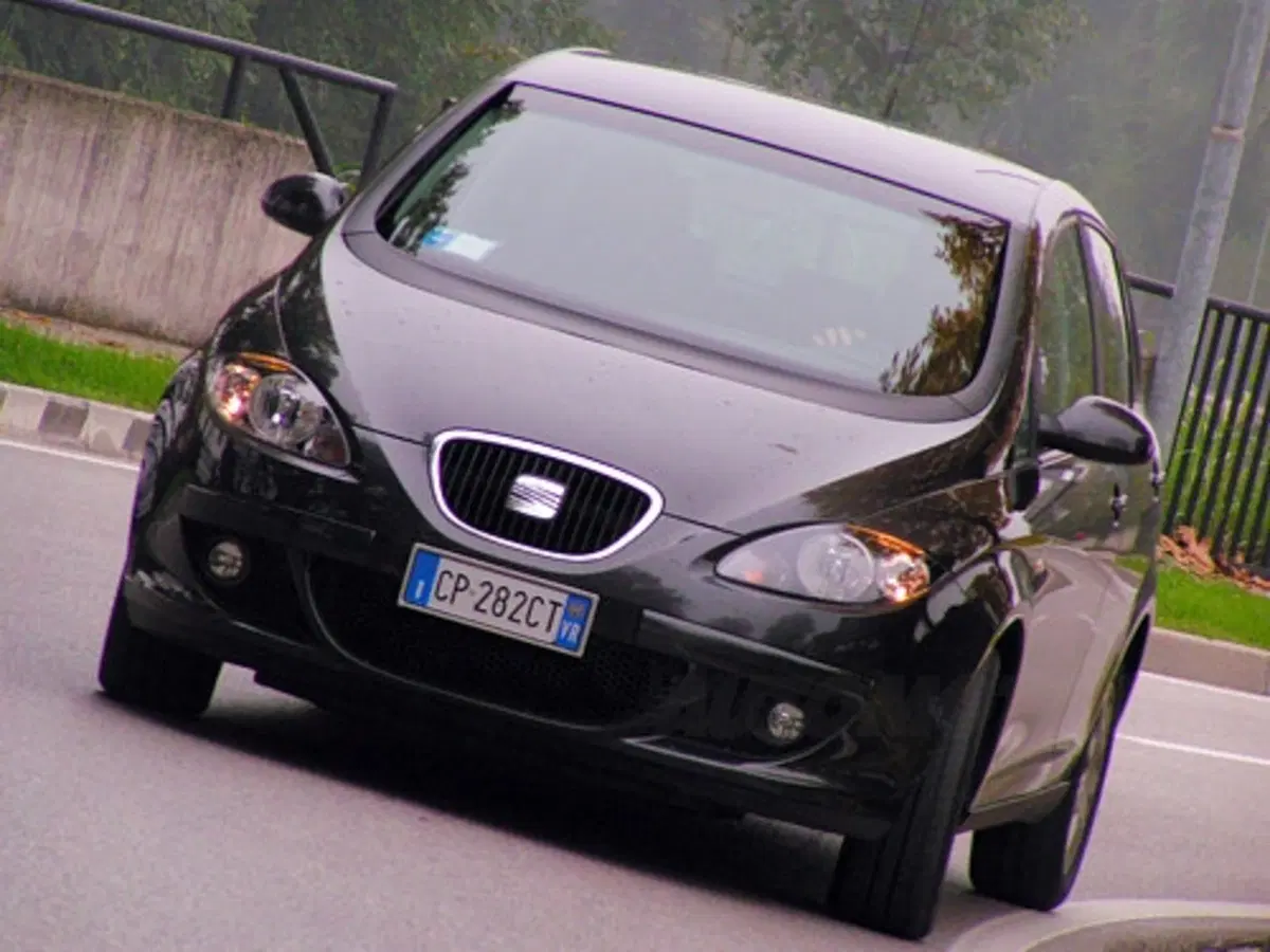 Seat Altea (25)