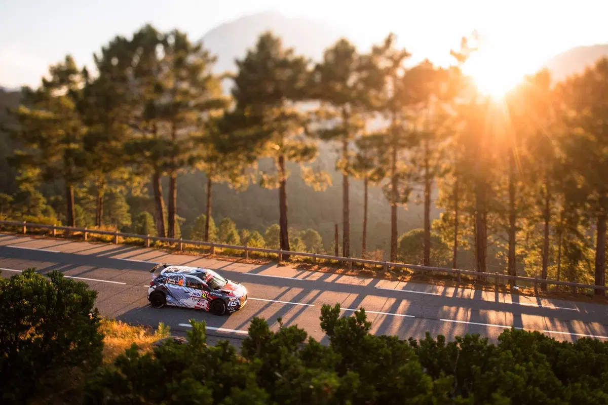 WRC16 Francia. Vince Ogier (VW Polo R)! (13)