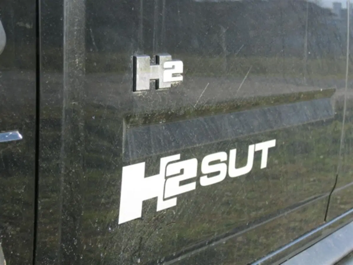 Hummer H2 (3)